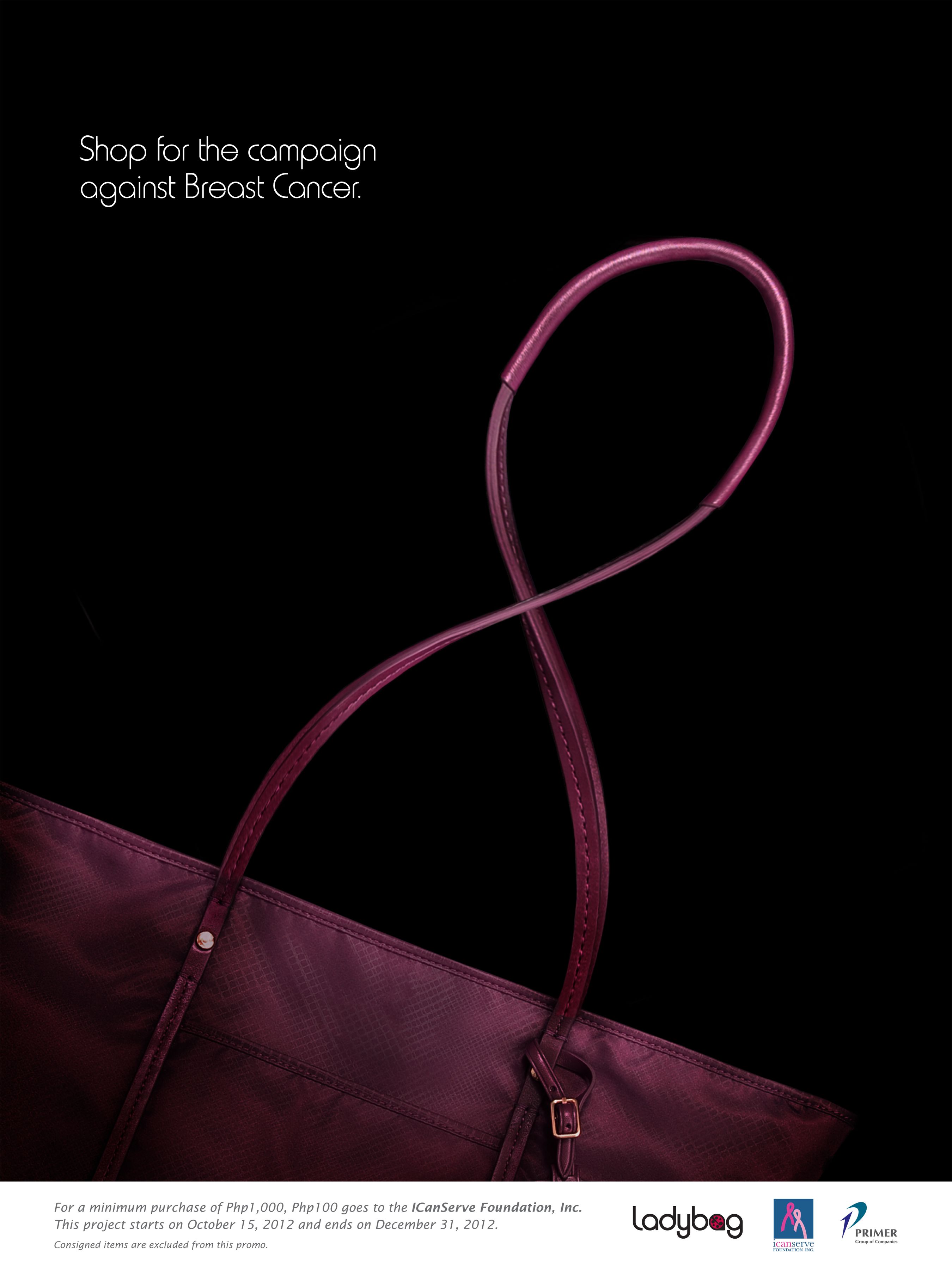 Ladybag for ICanServe (October 15 to December 31, 2012)